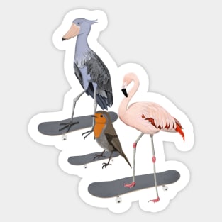 Shoebill Flamingo Robin Bird Skateboard Birdwatcher Animal Biologist Sticker